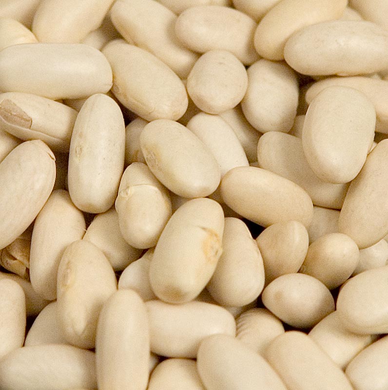 Bohnen, Lingots blanc, weiße Bohnen, mittelgroß, getrocknet, 5 kg
