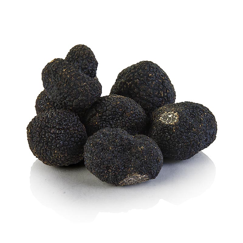 Winter-Edeltrüffel EXTRA- tuber melanosporum, kleine Knollen, Australien, Juni/A