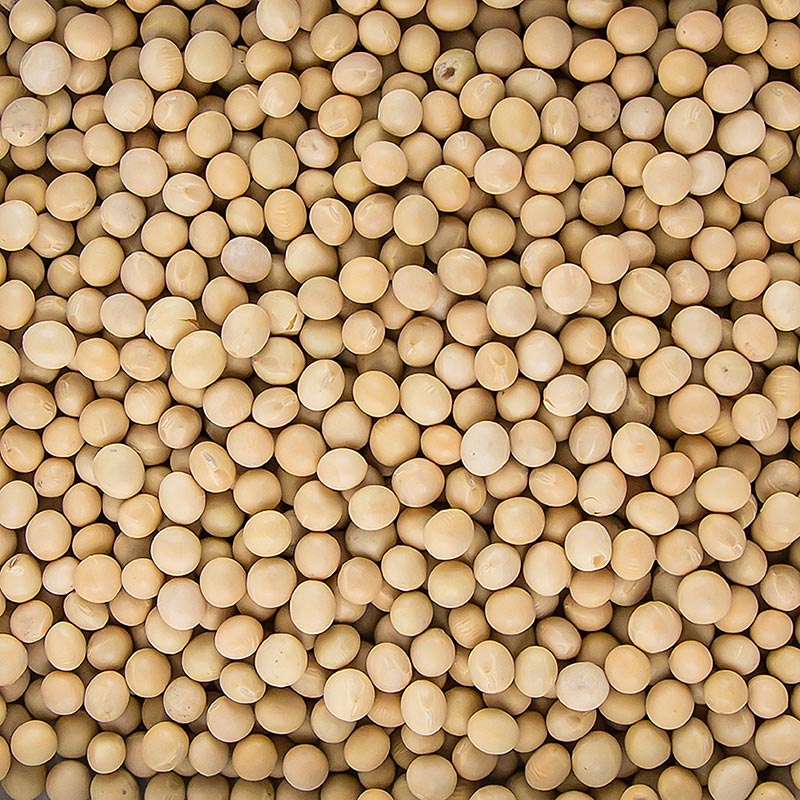 Bohnen, Soja Bohnen, getrocknet, BIO, 1 kg