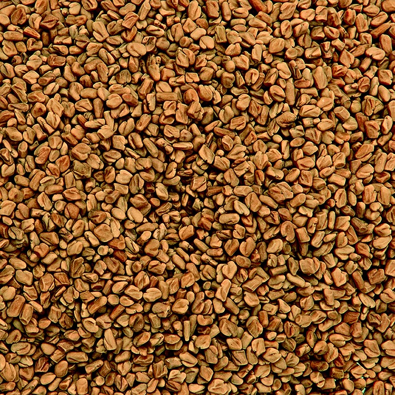 Bockshornkleesamen (Fenugreek Methi Seeds), vor Gebrauch rösten!, BIO, 1 kg