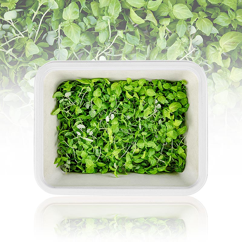 vollgepackt Microgreens "ShisoGreens", junge Blätter / Keimlinge, 25 g