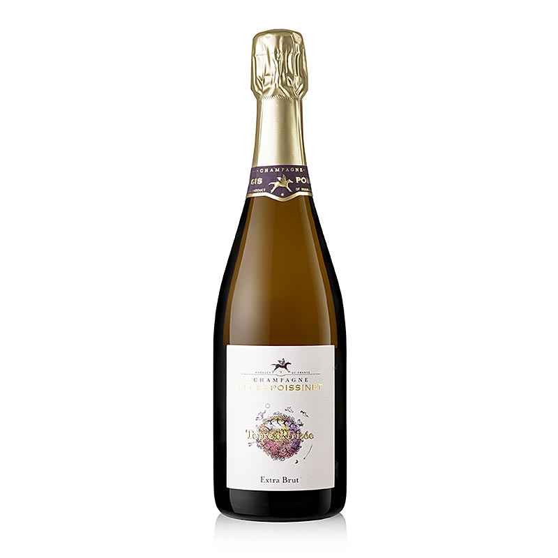 Champagner Regis Poissinet, Terre d´Irizée, extra brut, 12 % vol., 750 ml