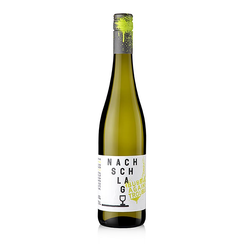 2025er Nachschlag! Bubbles Against Troubles, Perlwein, trocken 10 % vol., Stahl, 750 ml