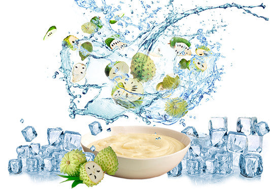 3kg Graviola 100% Fruchtpüree Fruchtpüree pur tiefgefroren (30x100g Portionen)
