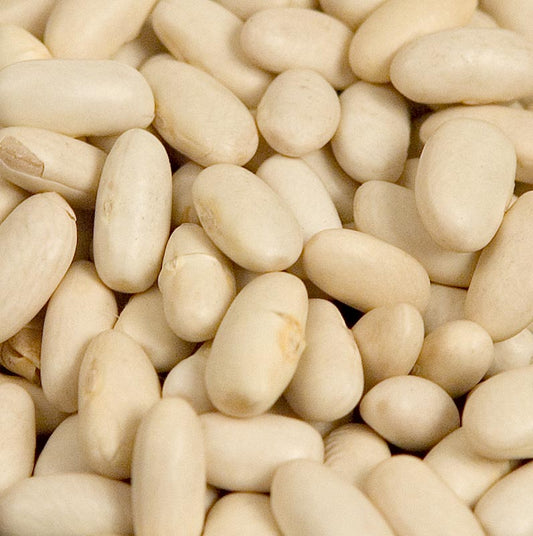 Bohnen, Lingots blanc, weisse Bohnen, mittelgross, getrocknet, 1 kg