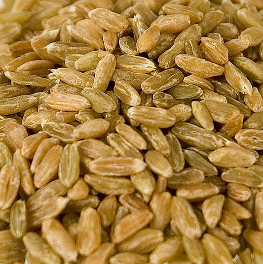 Grünkern, ganz, holzgedarrt, 1 kg