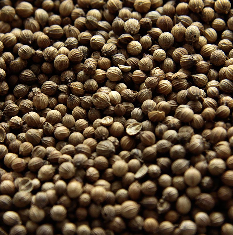 Korianderkörner, ganz, 1 kg