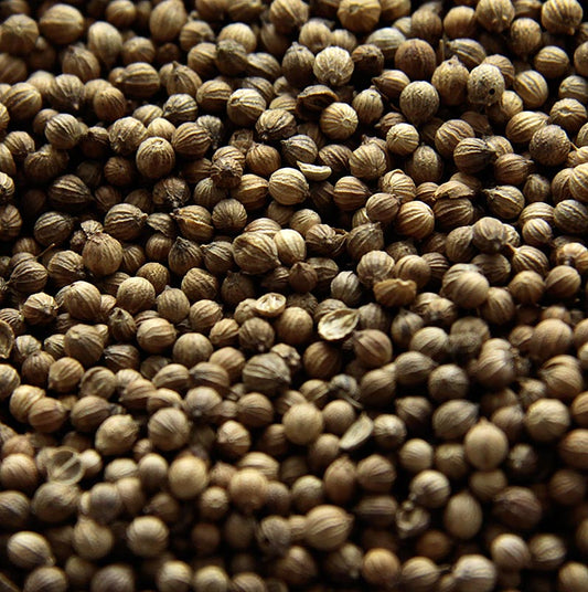 Korianderkörner, ganz, 1 kg