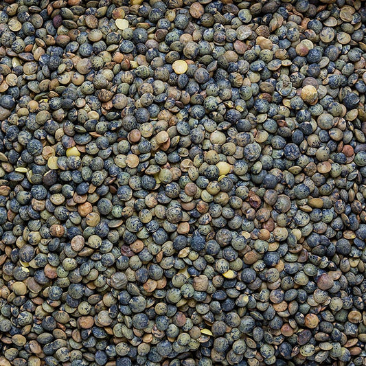 Linsen, grün - Linsen aus Puy, traditioneller Anbau, Frankreich, 1 kg