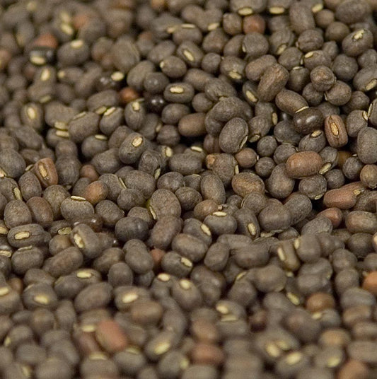 Linsen, schwarz, Urid-Dal/ Uridbohnen, ungeschält, ganz, 1 kg