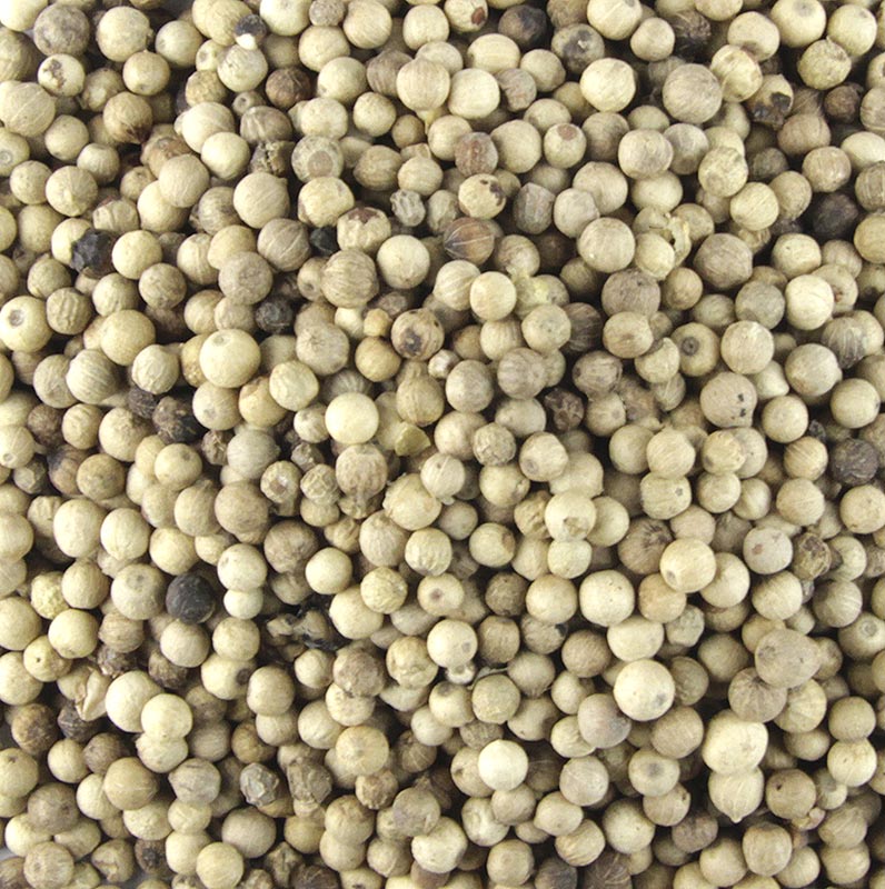 Weisser Pfeffer, ganz, 1 kg