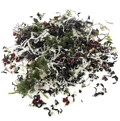Nihon Shokken - Kaiso Dried Seaweed Mix, Seetang getrocknet, 6 Algensorten für Kaiso Salat, 100 g