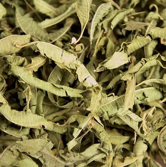 Zitronenverbene/ Zitronenkraut (falsches Eisenkraut / Verveine), ganze Blätter, 100 g