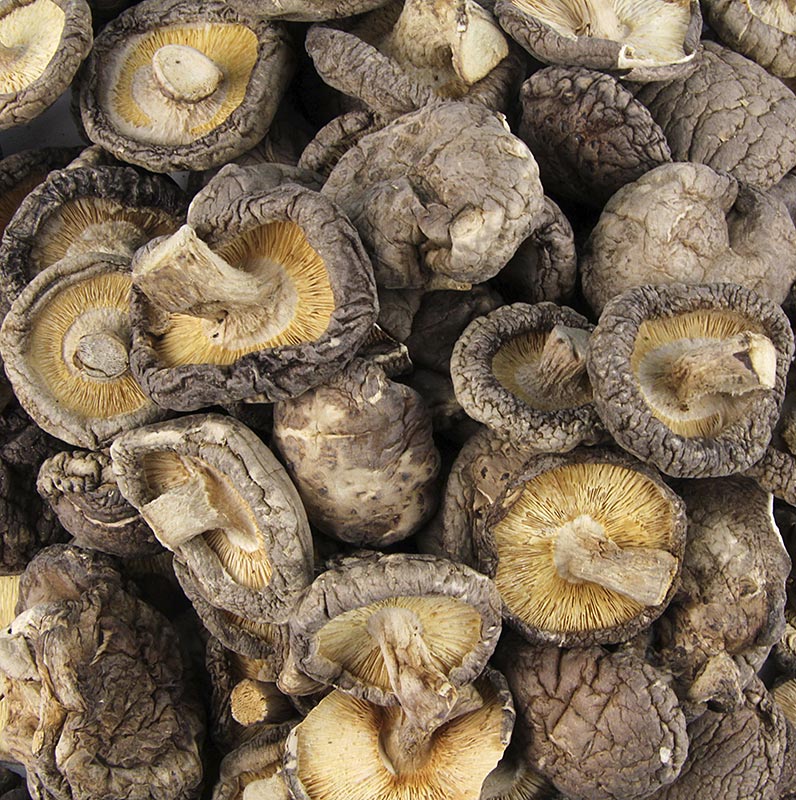 Shiitake Pilze, Tongu, kleine Kalibrierung ø 3 cm, Zhong-Hon-Gu, 1 kg