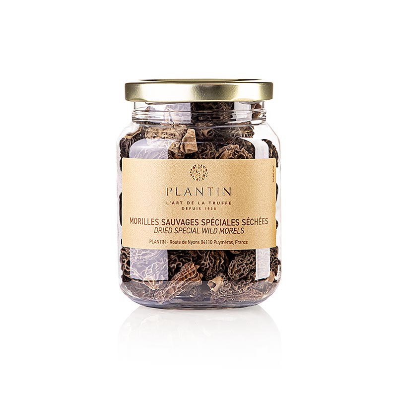 Spitzmorchel-Köpfe, Specials, ab ø 3cm, Plantin, 50 g