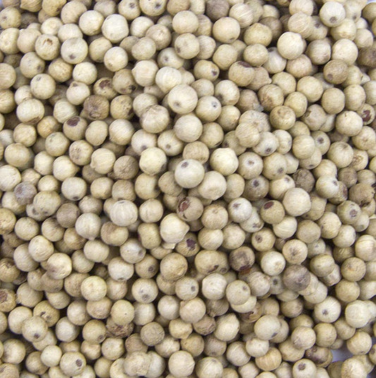 Camerun Pfeffer, weiss, ganz, 1 kg