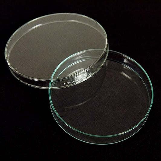 Petrischalen aus Glas, ø 15 cm mit Deckel, 1 St