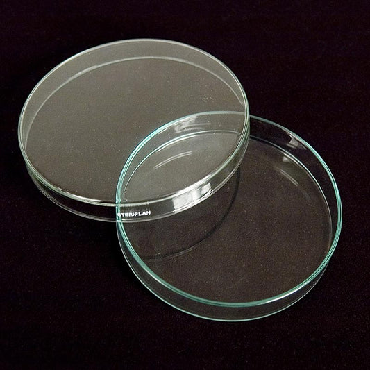 Petrischalen aus Glas, ø 12 cm mit Deckel, 1 St