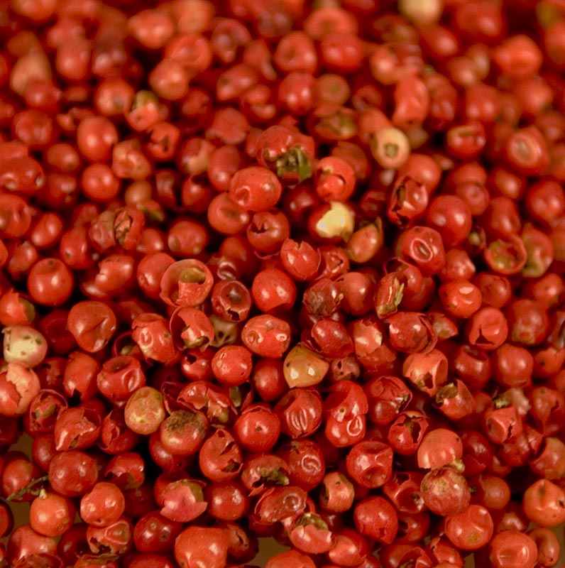 Rosa Pfeffer - Schinus-Beeren, getrocknet, 100 g