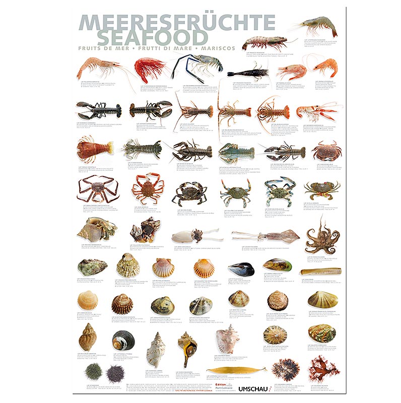 Port Culinaire - Küchenposter Meeresfrüchte (59,4 x 84cm), 1 St