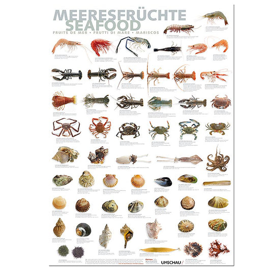 Port Culinaire - Küchenposter Meeresfrüchte (59,4 x 84 cm), 1 St