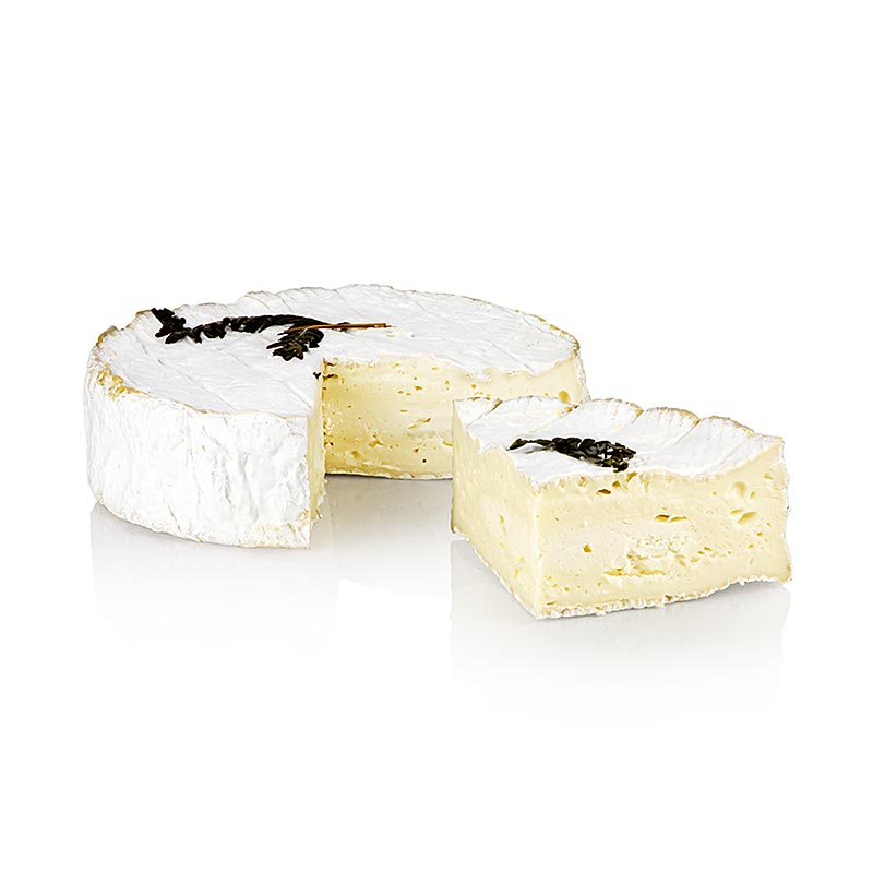 Fougerus, fanzösischer Kuhmilchkäse, 700 g
