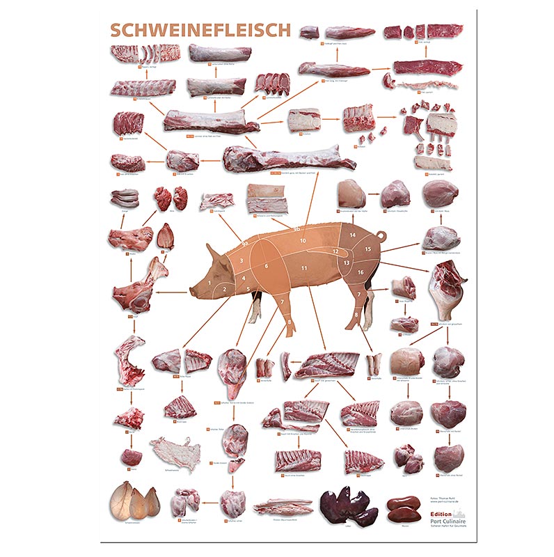 Port Culinaire - Küchenposter Schweinefleisch (59,4 x 84 cm), 1 St