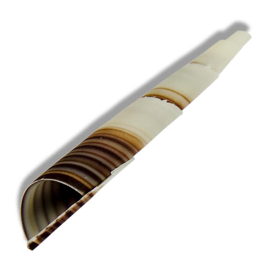 Deko-Aufleger "Cornet" - Mini-Hörnchen, marmoriert, ca. 80 mm, 350 g, 117 St