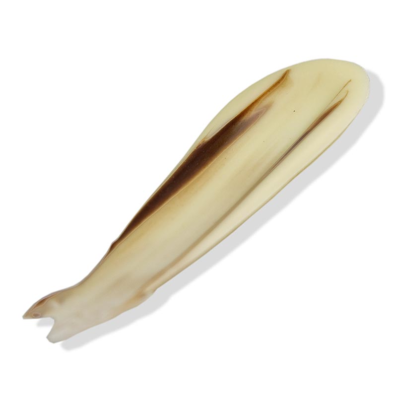 Deko-Aufleger "Feder" - weiße Schokolade, marmoriert, 70mm, 235 g, 126 St