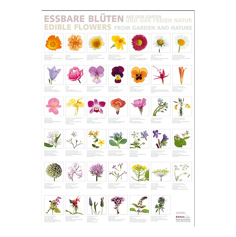 Port Culinaire - Küchenposter Essbare Blüten (59,4 x 84 cm), 1 St