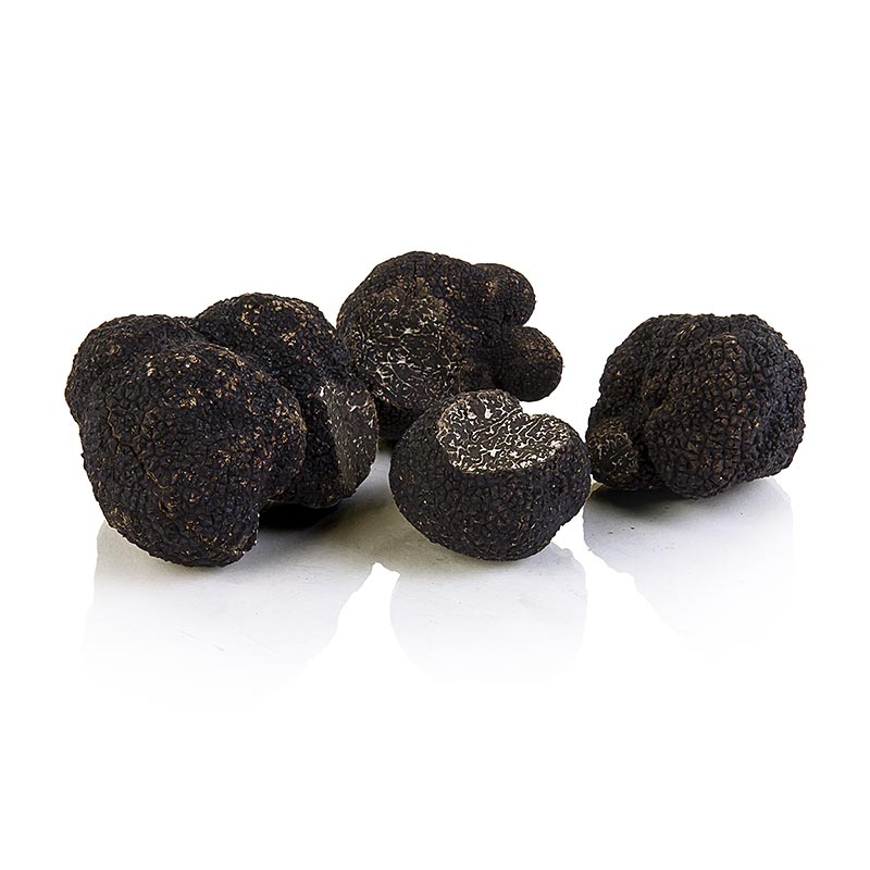 Winter-Edeltrüffel - tuber melanosporum 1. Wahl, groß, Australien, Juni/August,