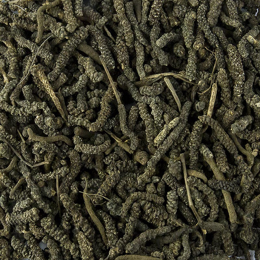 Langer Pfeffer - Stangen-, Balinesischer-, Bengalischer Pfeffer, ganz, 1 kg