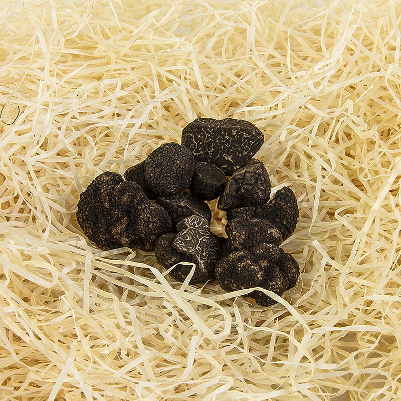Winter-Edeltrüffel - tuber melanosporum, Abschnitte, Australien, Juni/August, pe