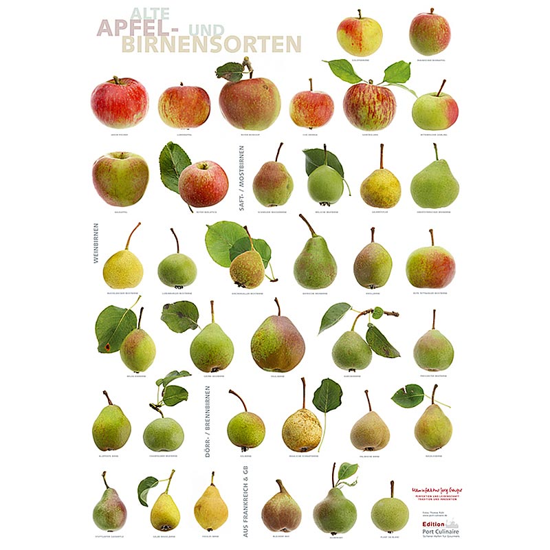Port Culinaire - Küchenposter Äpfel & Birnen (59,4 x 84 cm), 1 St