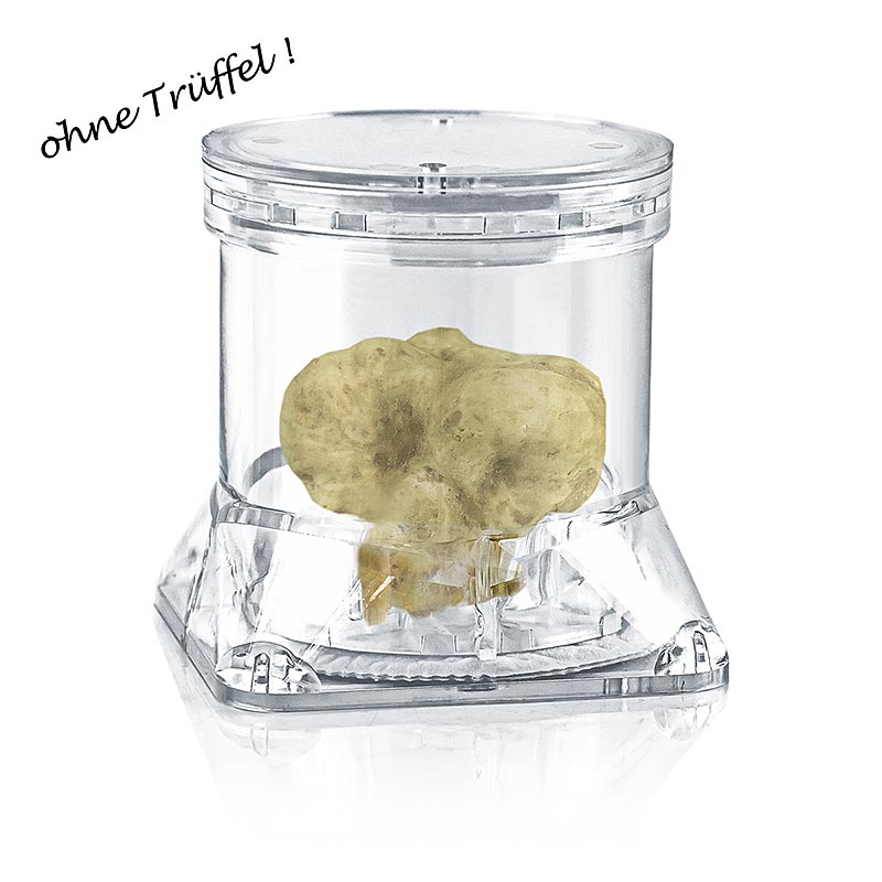 Italpak - Tuber-Pack® Trüffel Behälter, Ø 7 x 7cm H, klar, mit Vlies, 1 St