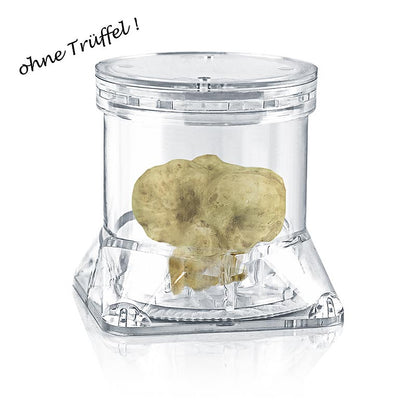 Italpak - Tuber-Pack® Trüffel Behälter, Ø 7 x 7cm H, klar, mit Vlies, 1 St