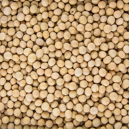 Bohnen, Soja Bohnen, getrocknet, BIO, 1 kg
