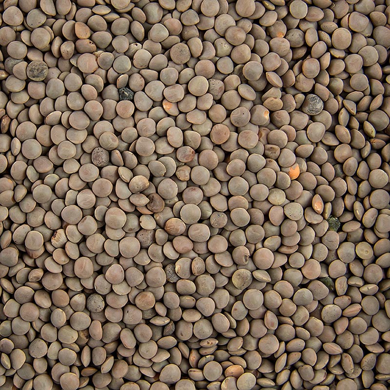Linsen, braun, klein, 5 kg