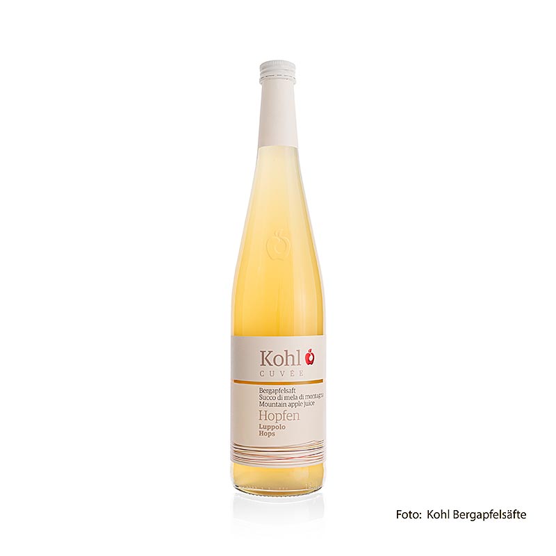 Thomas Kohl - Obsthof Troidner - Cuvée Bergapfelsaft + Hopfen, 750 ml