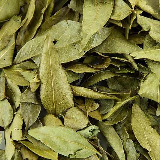 Curryblätter, getrocknet, BIO, 100 g