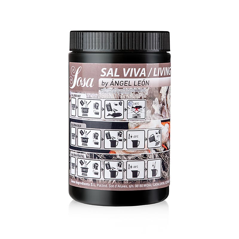 Salz "Sal Viva / Living Salt" by Ángel León, 700 g
