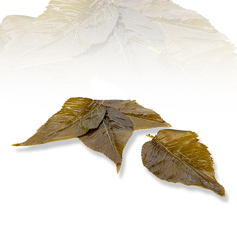 Sakura Kirschblätter, 50 Blatt