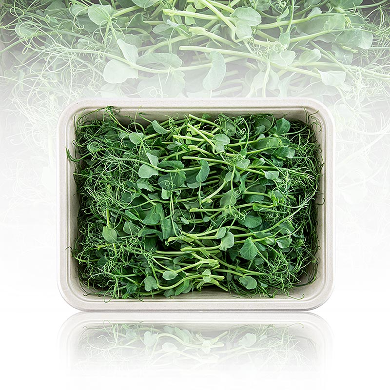 vollgepackt Microgreens "Erbsen", ganz junge Blätter / Keimlinge, 100 g