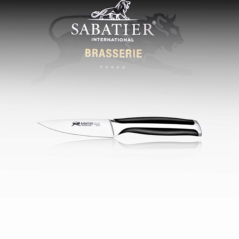 Officemesser (Spick & Garniermesser), Sabatier International, 1 St