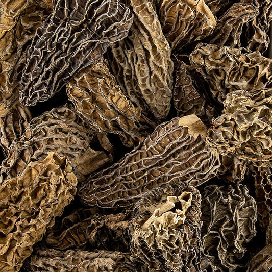 Spitzmorchel-Köpfe, Jumbo, getrocknet, 100 g