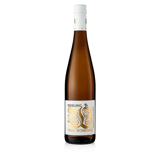 Von Winning 2022 Riesling "Drache" trocken Weißwein Gutswein Pfalz 0,75l, 750 ml