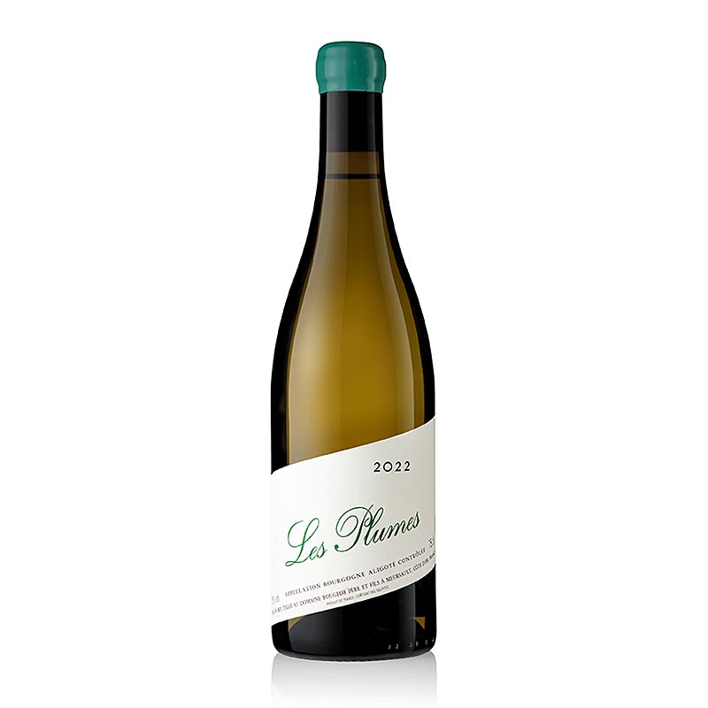 2022er "Les Plumes Aligoté, trocken, 12 % Vol., Domaine Rougeot, BIO, 750 ml