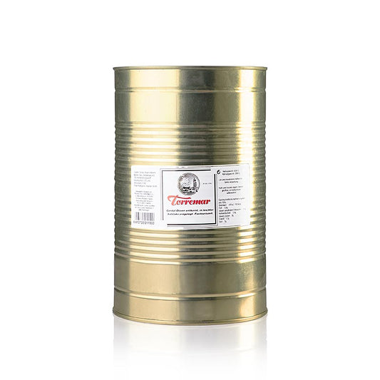 Grüne Oliven, Gordal, ohne Kern in Salzlake, Torremar, 4,25 kg
