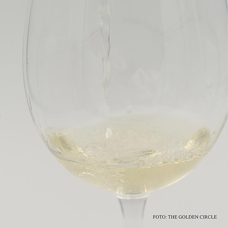 THE GOLDEN CIRCLE - 2022er Weißburgunder, Sascha Stemberg, trocken, 12,5 % vol., N. Poss, 750 ml