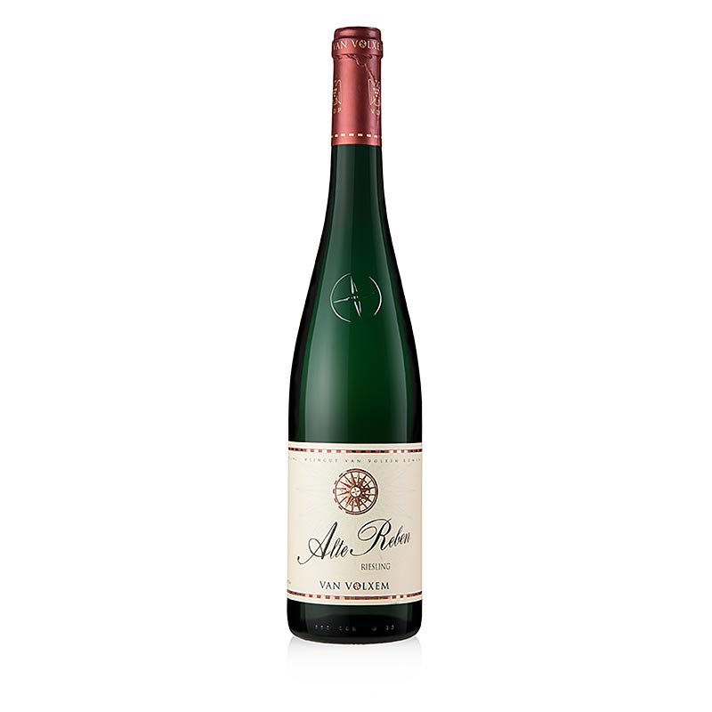 2024er "Alte Reben" Riesling, trocken, 12 % vol., Van Volxem, 750 ml